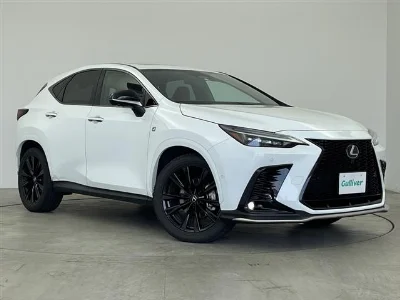 LEXUS NX 2023 с аукциона, 2500cc, пробег 49 000 км