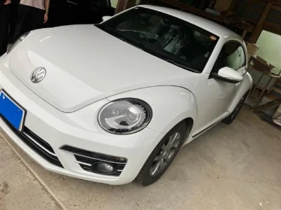VOLKSWAGEN THE BEETLE