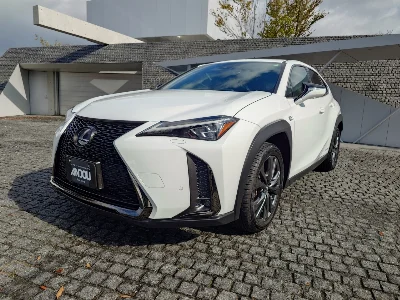 LEXUS UX 2019 с аукциона, 2000cc, пробег 23 000 км