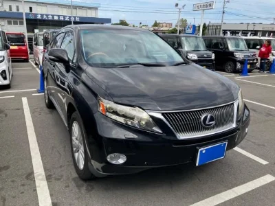 LEXUS RX