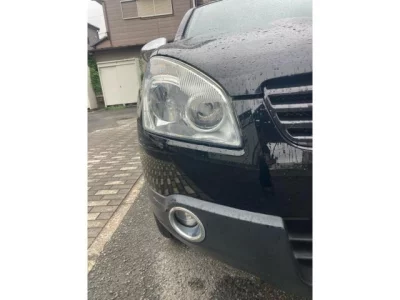NISSAN DUALIS