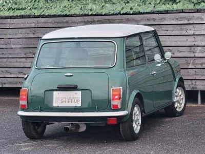 ROVER MINI