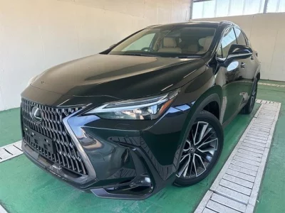 LEXUS NX 2023 с аукциона, 2500cc, пробег 6 000 км