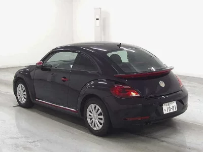 VOLKSWAGEN THE BEETLE