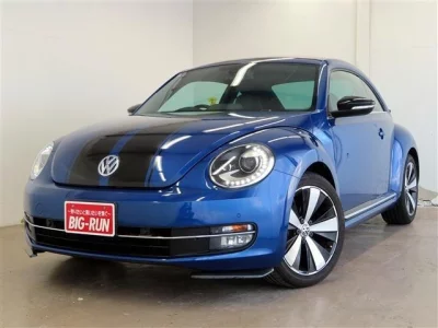 VOLKSWAGEN THE BEETLE