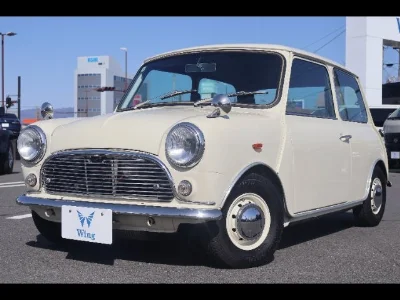 ROVER MINI