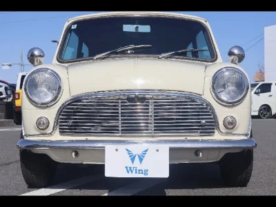 ROVER MINI