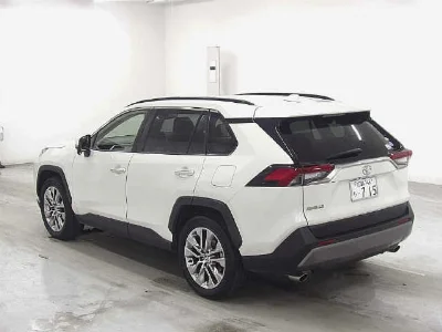 TOYOTA RAV4 2019 с аукциона, 2000cc, пробег 59 000 км