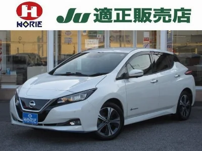 NISSAN LEAF 2019 с аукциона, пробег 28 000 км