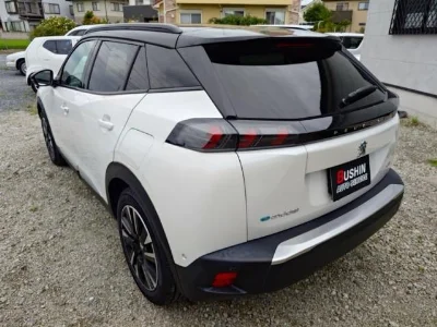 PEUGEOT E-2008