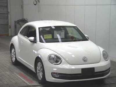 VOLKSWAGEN THE BEETLE