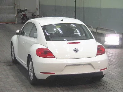 VOLKSWAGEN THE BEETLE