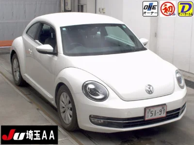 VOLKSWAGEN THE BEETLE
