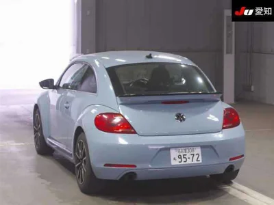 VOLKSWAGEN THE BEETLE