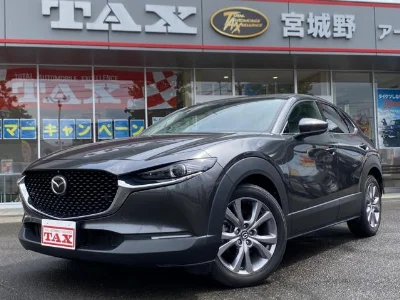 MAZDA CX-30 2021 с аукциона, 2000cc, пробег 75 000 км