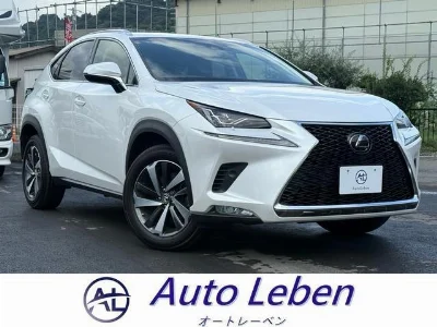 LEXUS NX 2018 с аукциона, 2000cc, пробег 41 000 км