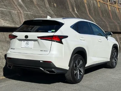 LEXUS NX 2018 с аукциона, 2000cc, пробег 41 000 км