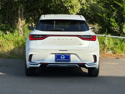 LEXUS LBX