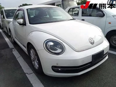 VOLKSWAGEN THE BEETLE
