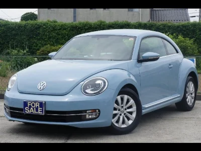 VOLKSWAGEN THE BEETLE