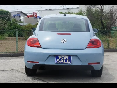 VOLKSWAGEN THE BEETLE