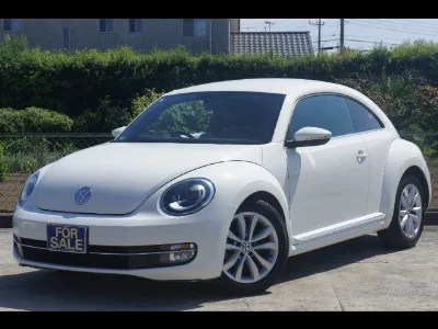 VOLKSWAGEN THE BEETLE