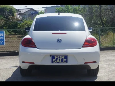 VOLKSWAGEN THE BEETLE