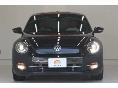 VOLKSWAGEN THE BEETLE