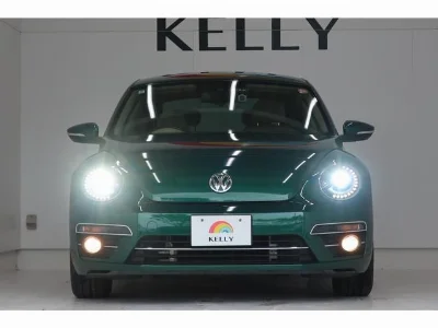 VOLKSWAGEN THE BEETLE