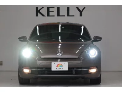 VOLKSWAGEN THE BEETLE