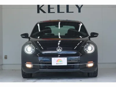 VOLKSWAGEN THE BEETLE