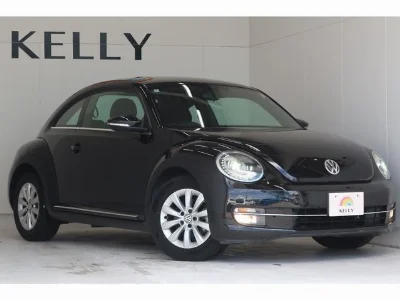 VOLKSWAGEN THE BEETLE