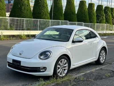 VOLKSWAGEN THE BEETLE