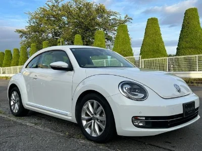 VOLKSWAGEN THE BEETLE