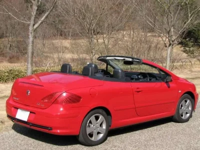 PEUGEOT 307