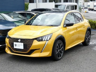 PEUGEOT E-208