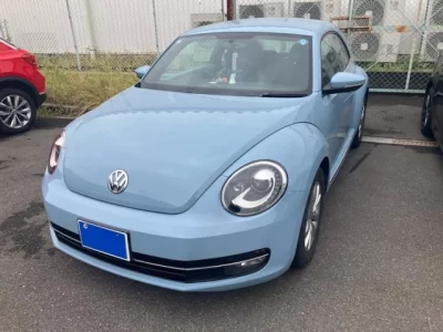 VOLKSWAGEN THE BEETLE